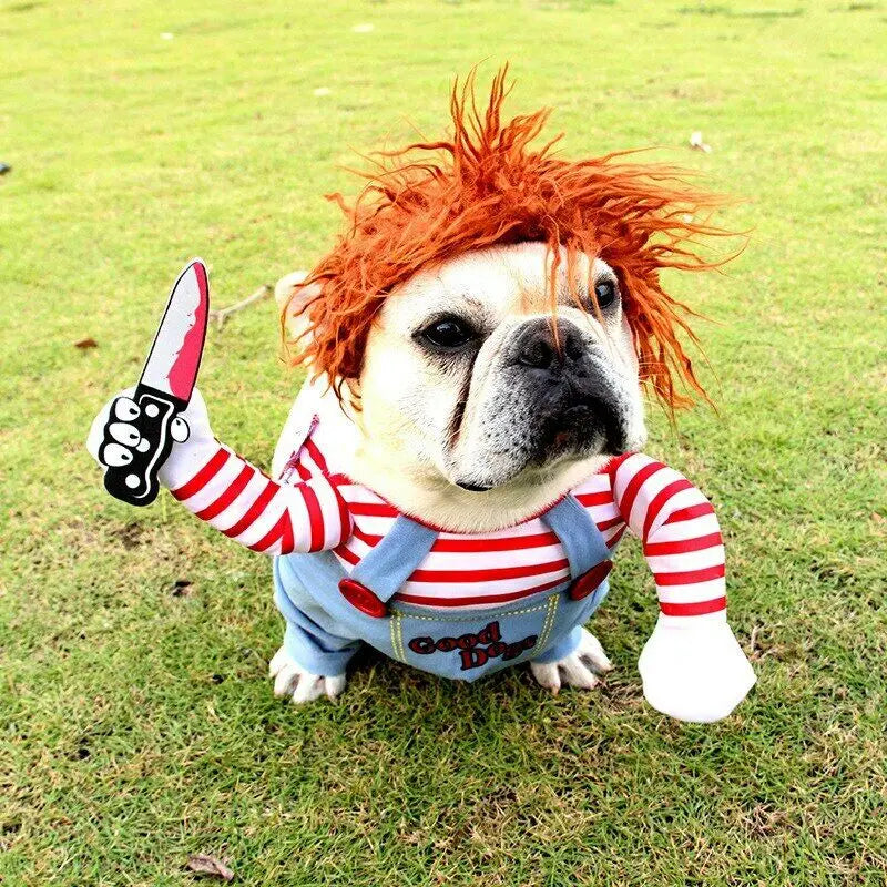 π Spooky & Adorable: Halloween Dog Costume π
