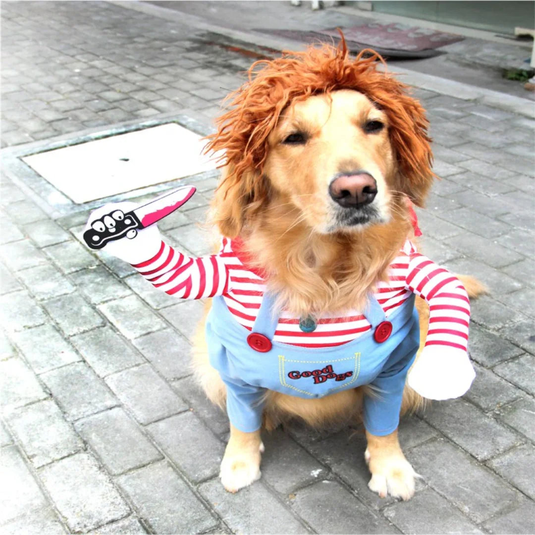 🎃 Spooky & Adorable: Halloween Dog Costume 🎃